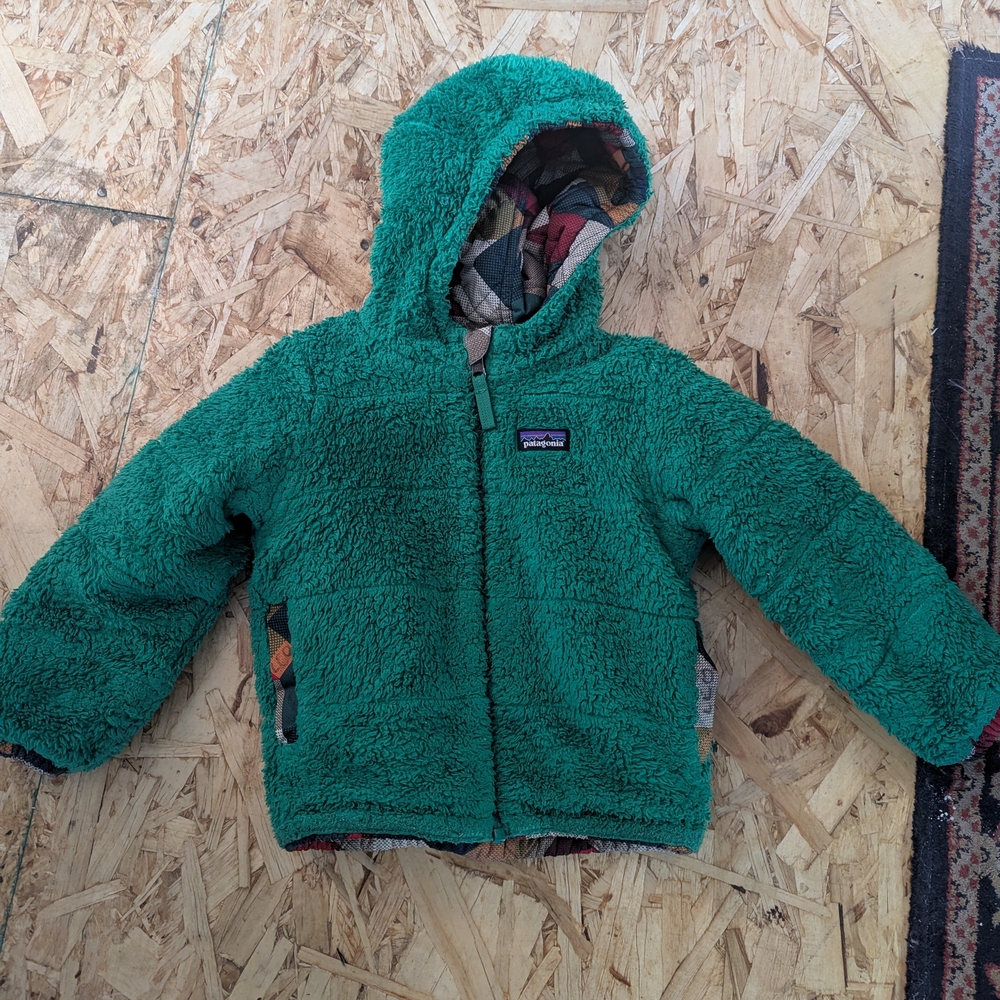 Patagonia Teal Fleece Hooded Jacket